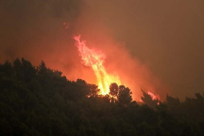 ΠΥΡΚΑΓΙΑ ΚΟΡΙΝΘΙΑ-ΤΟ ΜΕΤΩΠΟ ΣΤΗ ΘΕΣΗ ΑΝΩ ΠΕΥΚΕΝΕΑΣ (ΕUROKINISSI / ΒΑΣΙΛΗΣ ΡΕΜΠΑΠΗΣ)