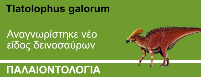 Tlatolophus galorum: Αναγνωρίστηκε νέο είδος δεινοσαύρων