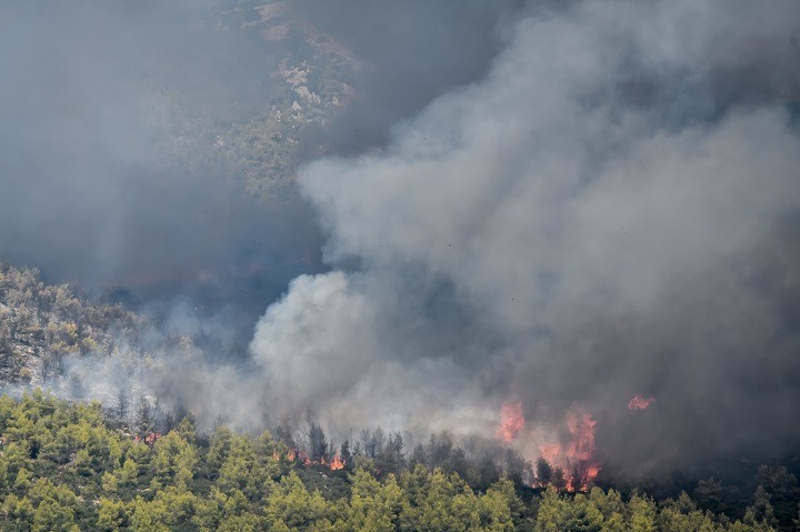 Μεγάλες διαστάσεις έχει πάρει και πάλι η φωτιά στα Βίλια