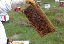 Χαλκιδική: Στήθηκε στη Νικήτη Σιθωνίας το πρώτο μπλόκο μελισσοκόμων και αγροτών μέσα στον νομό