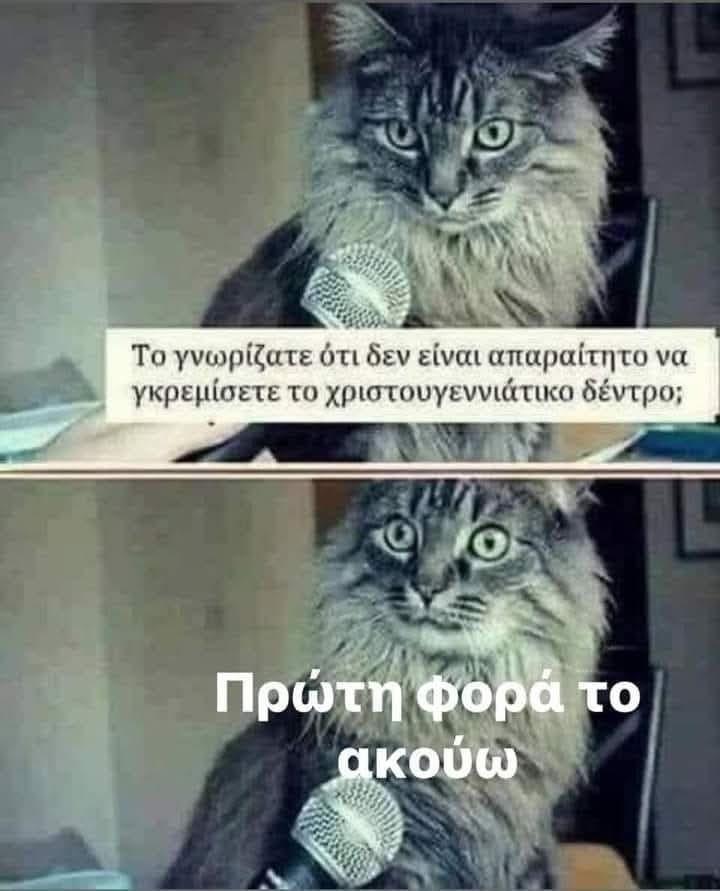 «Δαχτυλίδο Δείκτου μένω» Αγιε Βασίλη μου, μη το ξεχάσεις - Γράφει η Αγγελική Κώττη
