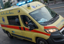 Μυστήριο με σορό σε δασική έκταση στη Χαλκιδική – Άγνωστη η ταυτότητα και η αιτία θανάτου