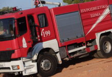 Χαλκιδική: Νεκρός 79χρονος που καταπλακώθηκε από δέντρο