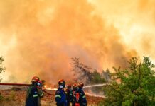 Ενισχύονται οι πυροσβεστικές δυνάμεις σε Σίβηρη και Φούρκα Χαλκιδικής – Επιχείρηση απεγκλωβισμού ατόμων διά θαλάσσης