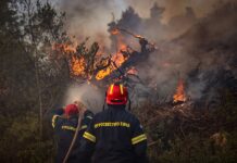 Χαλκιδική: Καθαρισμός ρεμάτων και αντιπλημμυρικά έργα μετά την πυρκαγιά