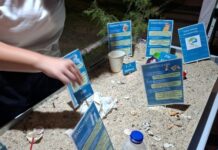 Χαλκιδική: Από τη γόπα που «μένει» έως και 300 χρόνια στην παραλία μέχρι τις αόρατες πλαστικές ίνες στην άμμο
