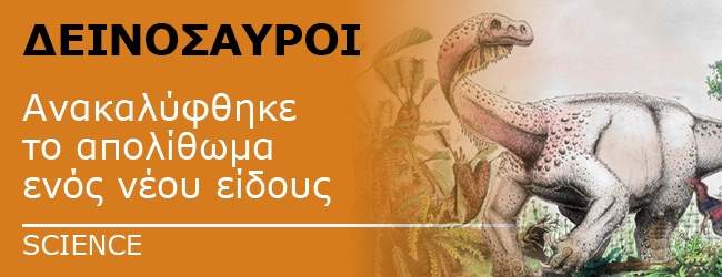 Ανακαλύφθηκε το απολίθωμα ενός νέου είδους γιγαντιαίου δεινόσαυρου