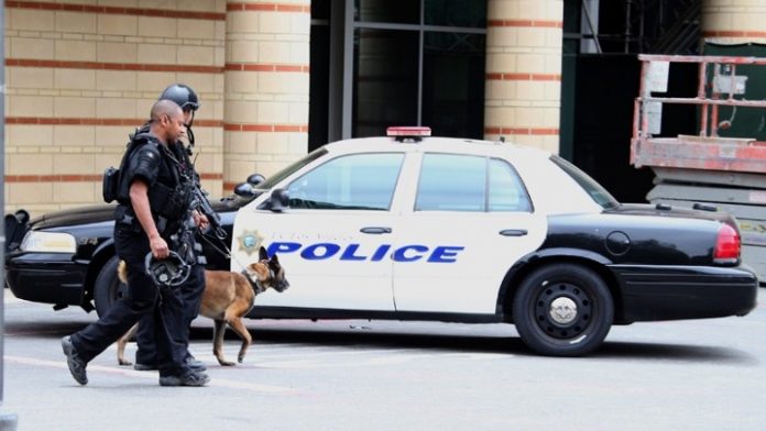 american-police