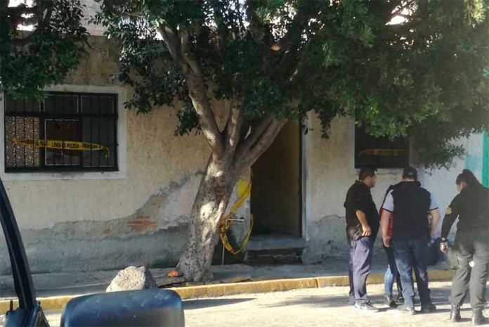 bodies guadalajara