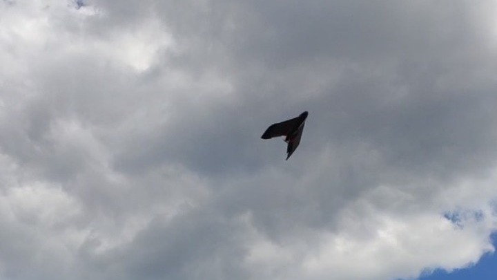 drone krokos