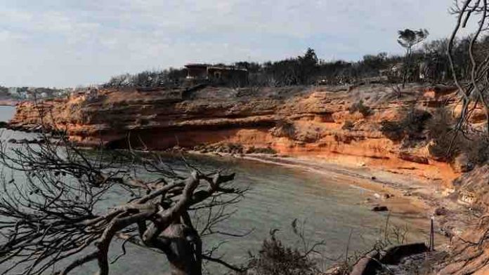 purkagiamati5_thepresident