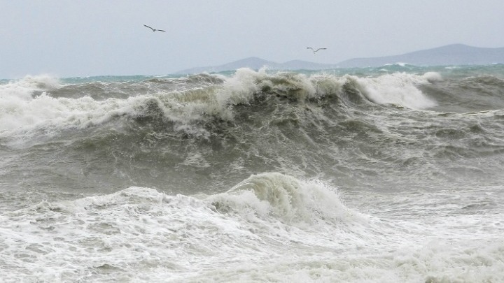 Συσκέψεις στο ΥΠΕΝ για το φαινόμενο της βλέννας στα παράλια της Λήμνου