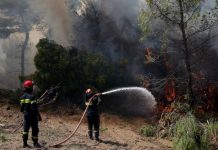 Χαλκιδική: Ενισχύθηκαν οι δυνάμεις κατάσβεσης στην πυρκαγιά στην Καλλικράτεια – Μήνυμα του 112 για απομάκρυνση κατοίκων
