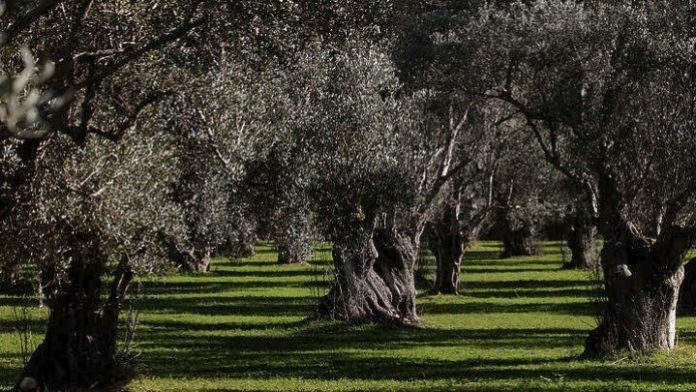 w27-85748w24164935w302030111